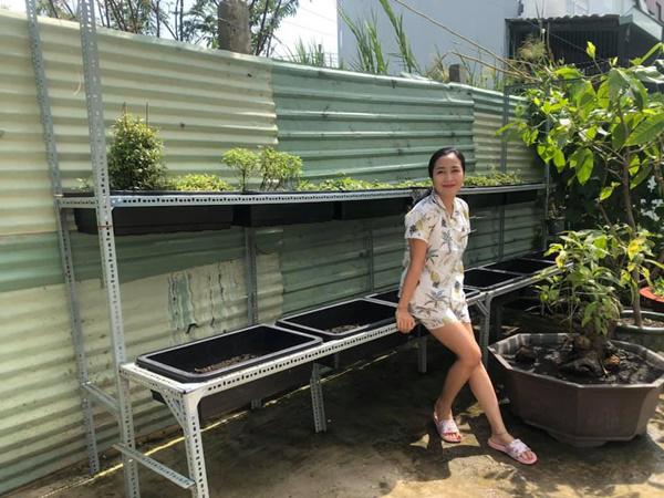 Gía trồng được làm bài bản, hệ thống.    