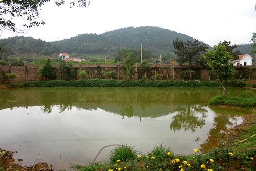 Cây cỏ, hoa lá tràn ngập không gian.    