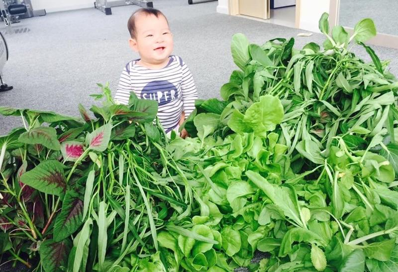 Mỗi lần bà xã Minh Hà đã vui vẻ khoe thành quả sau nhiều ngày chăm bón là lại khiến bao người phát thèm.    