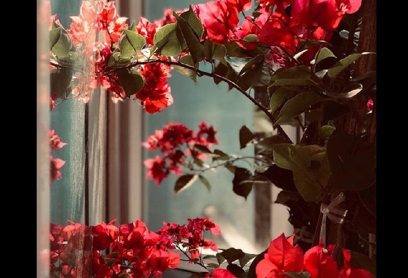 Được biết, tổ ấm nhỏ của Hoàng Linh nằm trên đường Lạc Long Quân, gần chợ Bưởi, Hoàng Hoa Thám, Hà Nội. Căn nhà tuy có diện tích mặt bằng không lớn nhưng vô cùng gọn gàng, ngăn nắp và ấm cúng.    