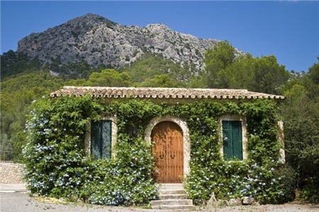 Nằm giữa vùng đồi núi hẻo lánh ở Mallorca, Tây Ban Nha, ngôi nhà như một nét điểm xuyết đầy thi vị nhờ bức tường dây leo xanh mướt.    