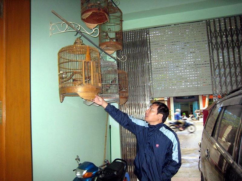 Phía trước nhà, Quang Thắng treo rất nhiều lồng chim.