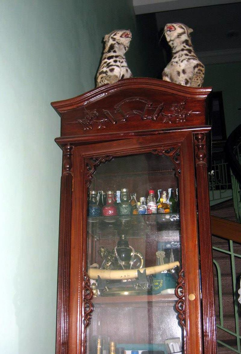 Đủ các loại rượu ngoại đựng trong các chai nhỏ.