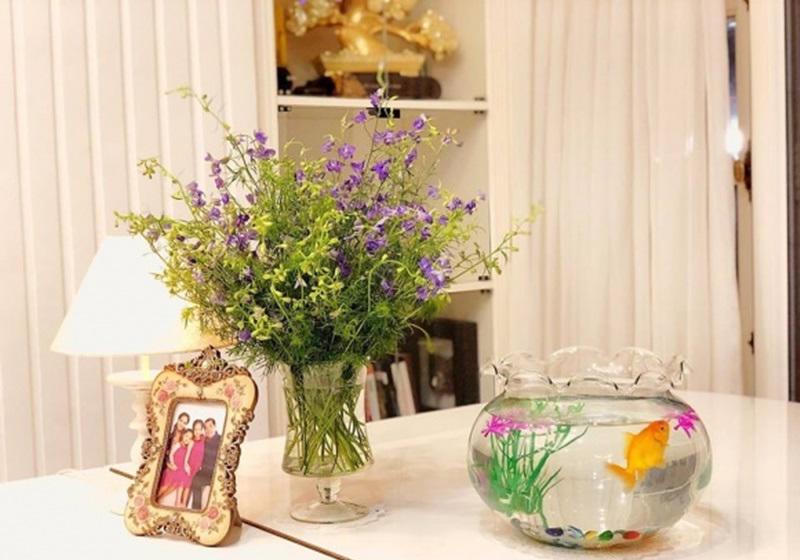 Đôi khi cô đặt cạnh những bình cá nho nhỏ cho nhà thêm xinh xắn.    