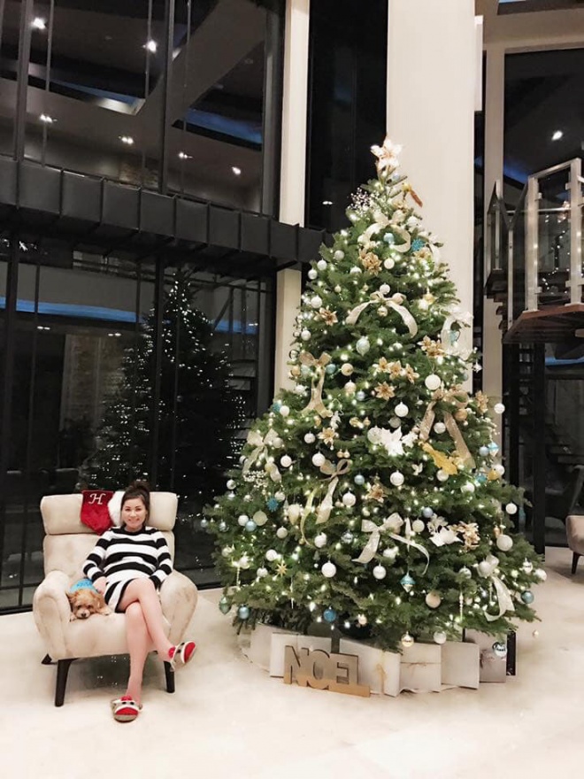 Bà xã Đan Trường đón Noel cách đây 2 năm khi mang bầu.    
