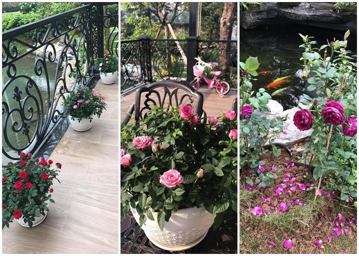 Một vài góc trong căn biệt thự triệu đô của vợ chồng đại gia kim cương.