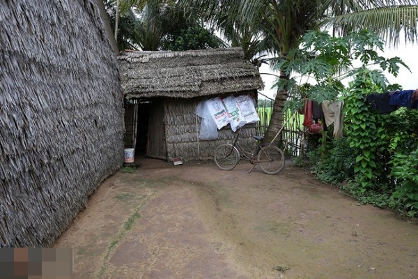 gia-canh-tung-son (1)
