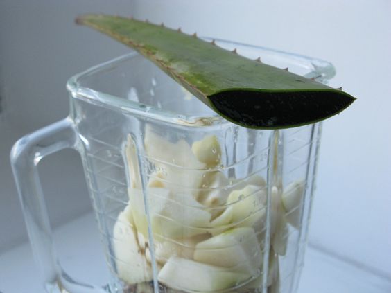 lam-dep-tu-tao7