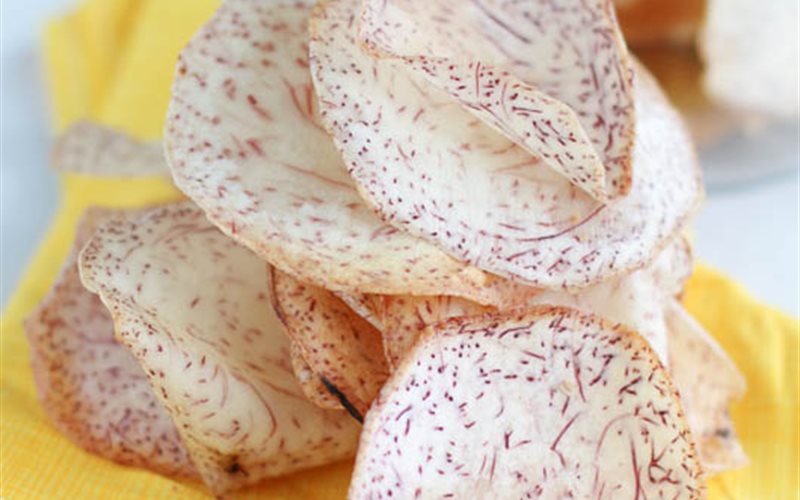 cooky-recipe-cover-r43474