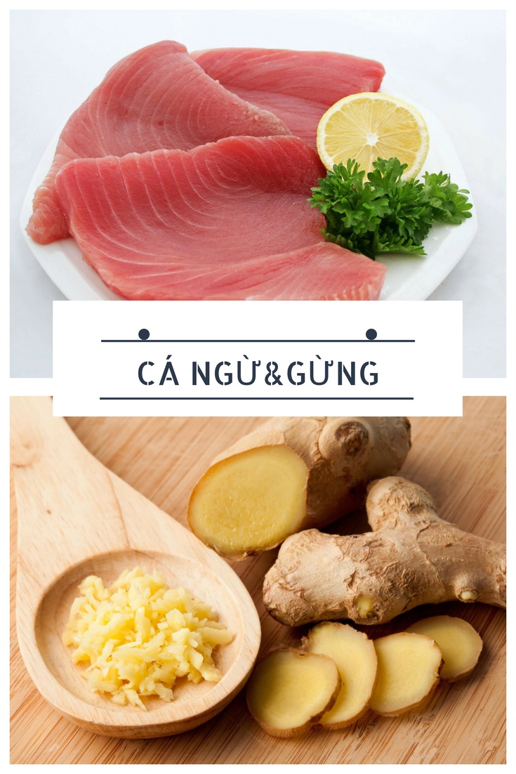 1219_CA_NGU_VA_GUNG