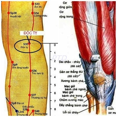 docty_03