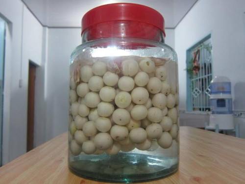 ca-phao-2_YSMU