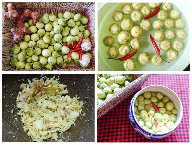 cach-muoi-ca-phao