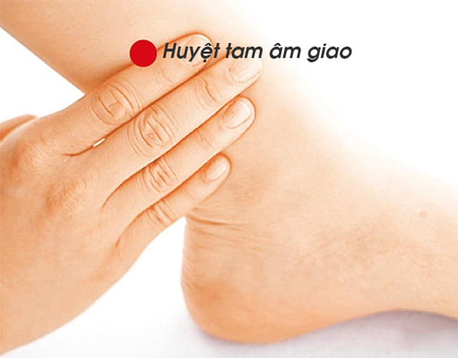 nhung-huyet-vi-quan-trong-4