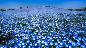 images (19)
