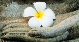 images (4)