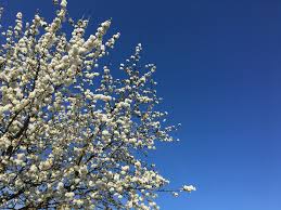 images (1)