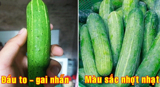 Mua dưa chuột cứ nhìn vào 1 điểm này, đảm bảo chọn đúng quả tươi ngon, vừa ngọt vừa giòn
