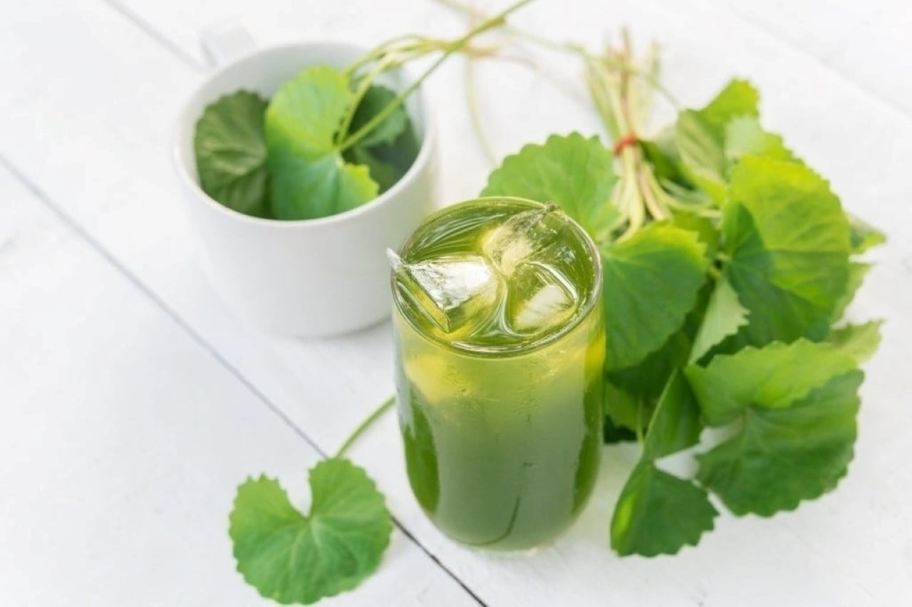 Rau má chứa nhiều flavonoid và saponin giúp giảm viêm, bảo vệ gan và hỗ trợ quá trình thải độc qua đường tiêu hóa giúp bạn giảm cân tốt