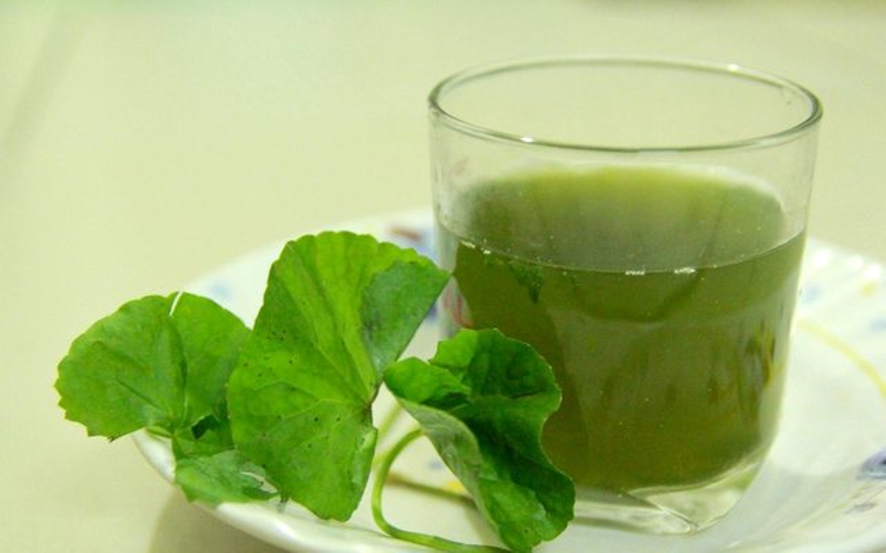 Rau má có tính mát và hàm lượng nước cao, giúp làm dịu Sh88bet đăng ký miễn phí sau những ngày ăn uống nhiều dầu mỡ.