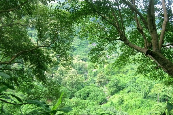 top-10-dia-diem-vui-choi-du-lich-khong-the-bo-qua-tai-nghe-an-dip-le-quoc-khanh3