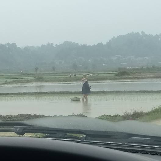 Mang chiếc bụng to khệ nệ, lại phải còng lưng cấy lúa khiến người phụ nữ mỏi lưng