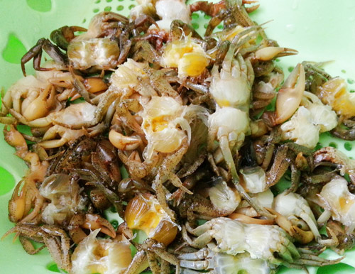 cach nau canh cua nong hoi vua thoi vua an sharoncuneta.com 1
