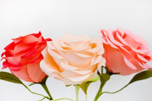 Cach lam hoa hong giay khong lo mon qua bat ngo ngay Valentine sharoncuneta.com 14
