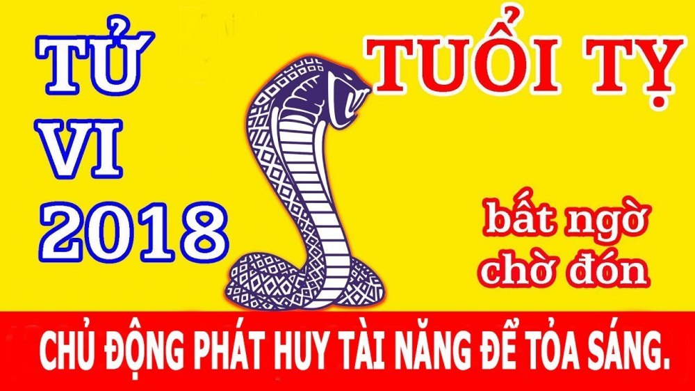 dinh-ty-2018