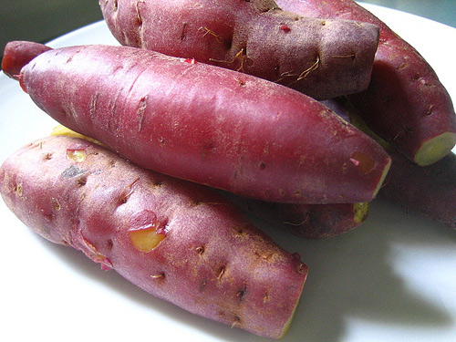 khoai-lang