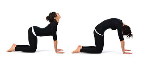 bai-tap-yoga-giup-chua-thoai-hoa-dot-song-co-5-phunutoday