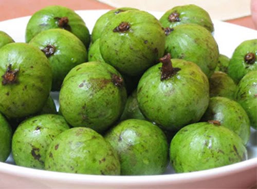 6.meo-giup-bao-quan-sau-trong-tu-lanh-ca-nam-1-sharoncuneta.com
