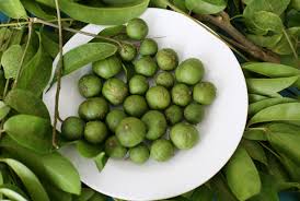 6.meo-giup-bao-quan-sau-trong-tu-lanh-ca-nam-3-sharoncuneta.com