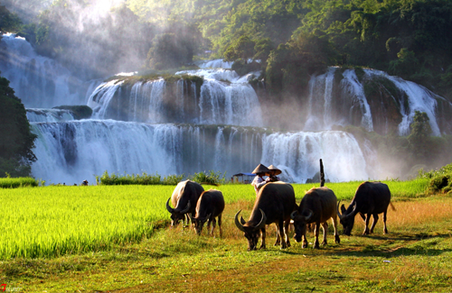 6.nhung-dia-diem-du-lich-o-cao-bang-trong-ngay-30-4-1-5-1-sharoncuneta.com