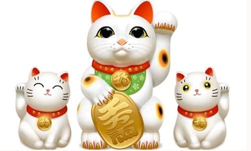 6.nguoi-tuoi-mao-nen-lam-an-voi-ai-1-sharoncuneta.com