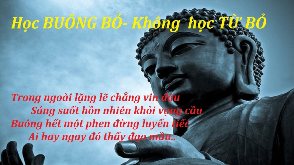 2.loi-phat-day-ve-cach-buong-bo-sharoncuneta.com