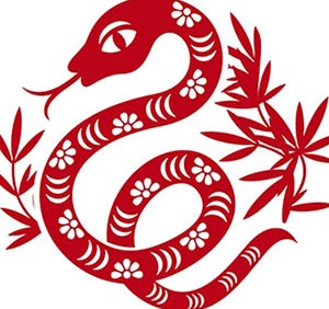 24.tat-tat-ve-tu-vi-nguoi-tuoi-ky-ty-mang-nu-nam-mau-tuat-1-sharoncuneta.com