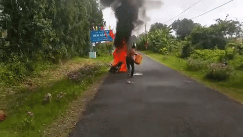 giphy-1479307029980.gif