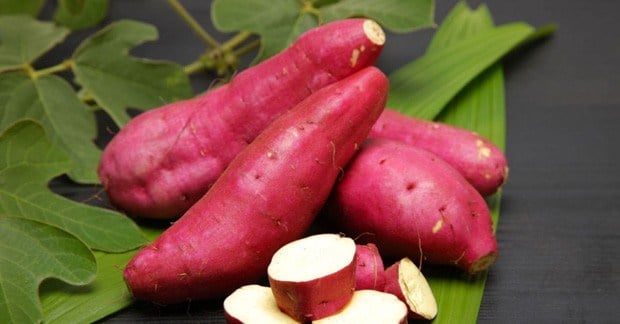 khoai-lang-1