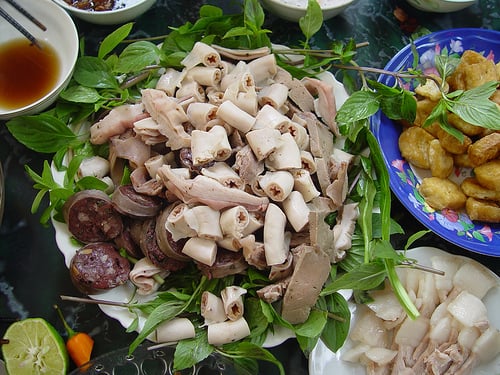 noi-tang-dong-vat-1