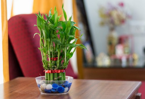 phong-thuy-7