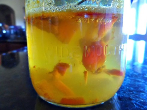 ngua-ung-thu