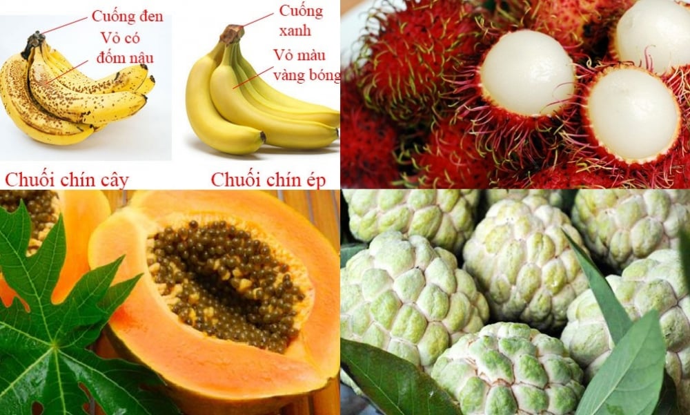 phan-biet-qua-chin-ep