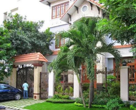 phong-thuy-trong-cay1