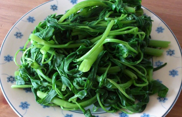 mon-ngon11