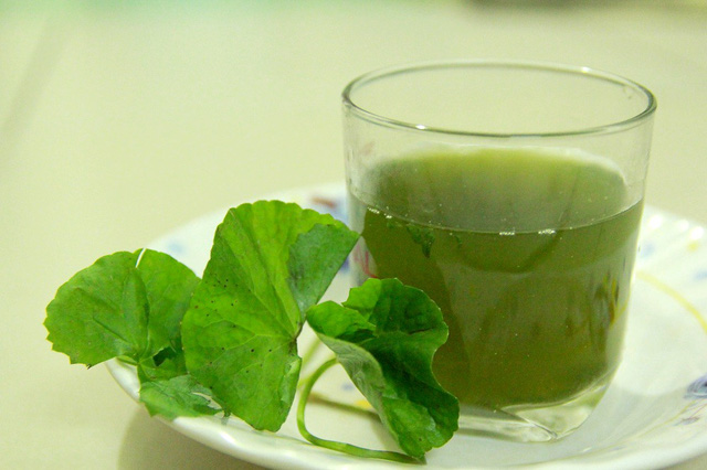 sinh-to-rau-ma
