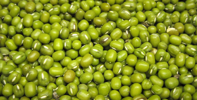 bai-thuoc-chua-benh-gout-1