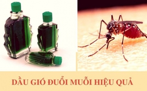 dau-gio1