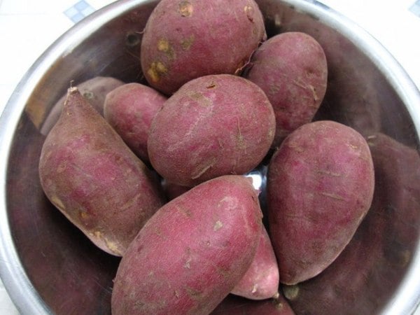 khoai-lang-1