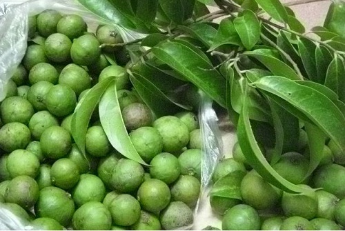 canh-sau1